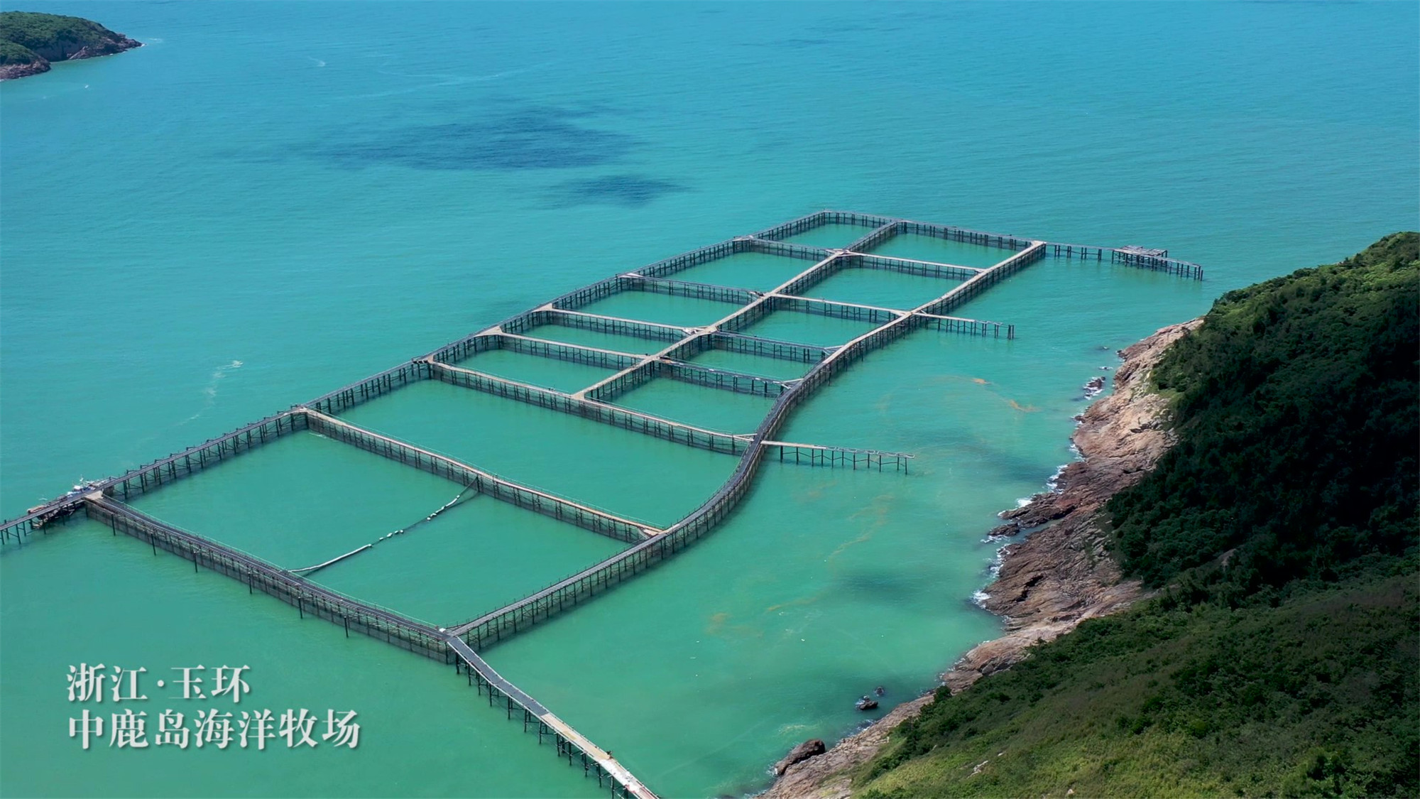 25 海洋直送餐桌中鹿島大黃魚_Moment.jpg